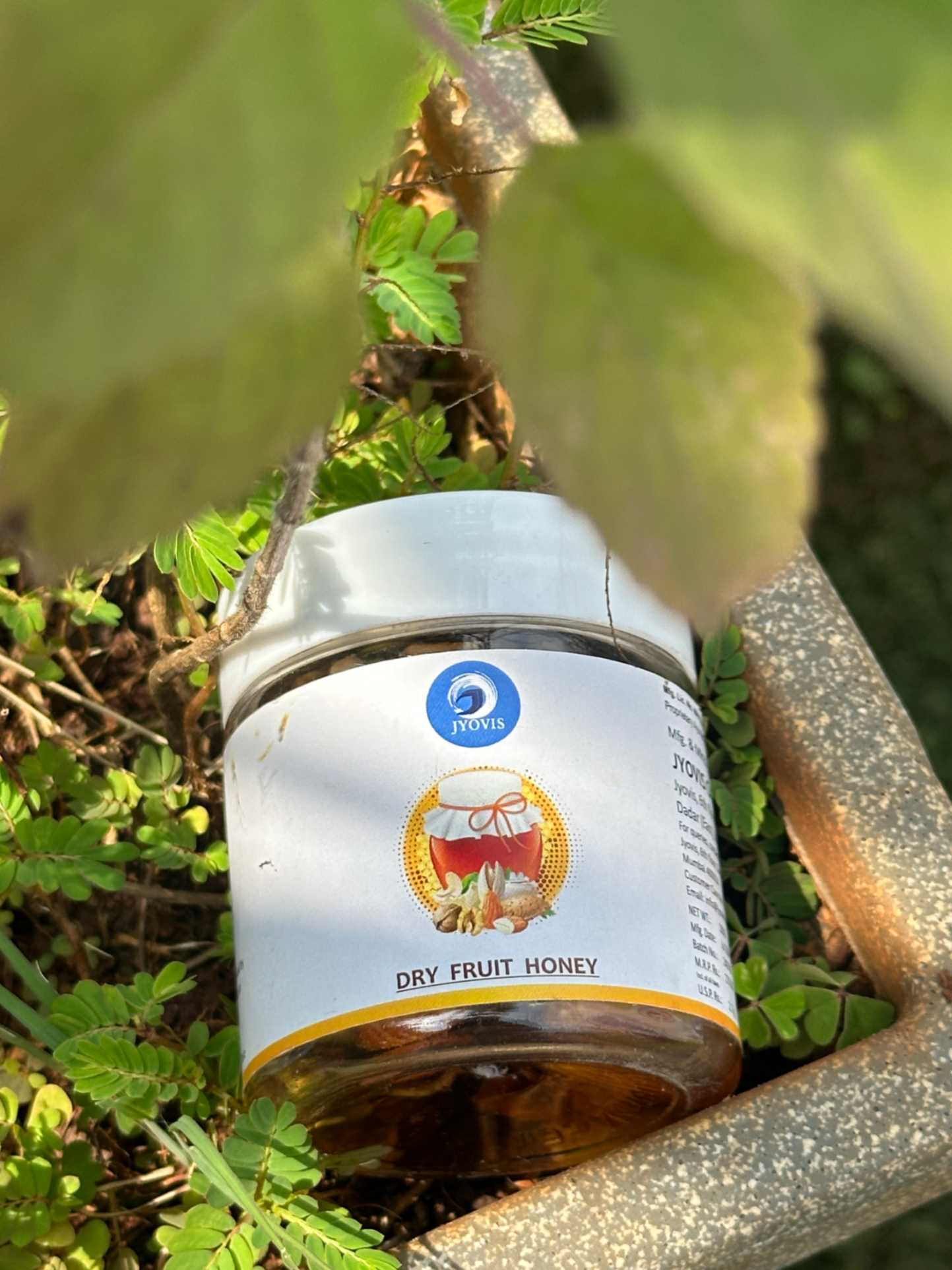 Premium Honey Dry Fruit | Best Quality Dry Fruit With Original Honey | Premium Dry Fruits